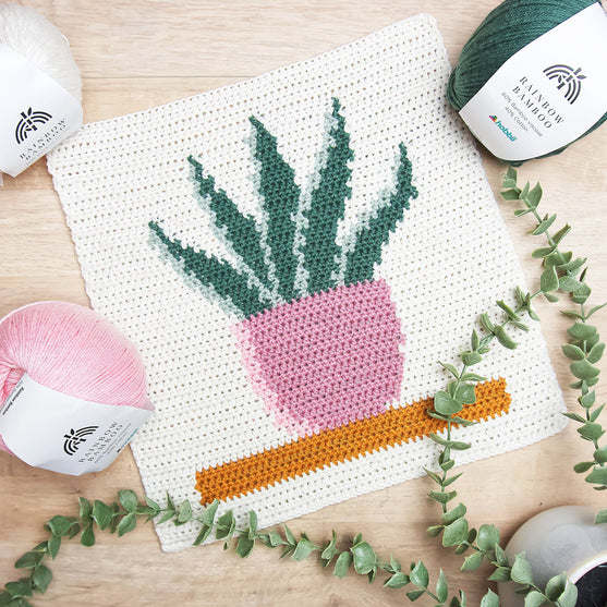 

Snake Plant - Suspension Murale
2