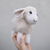 

Le mouton duveteux
2