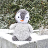 

Pippo le pingouin
1