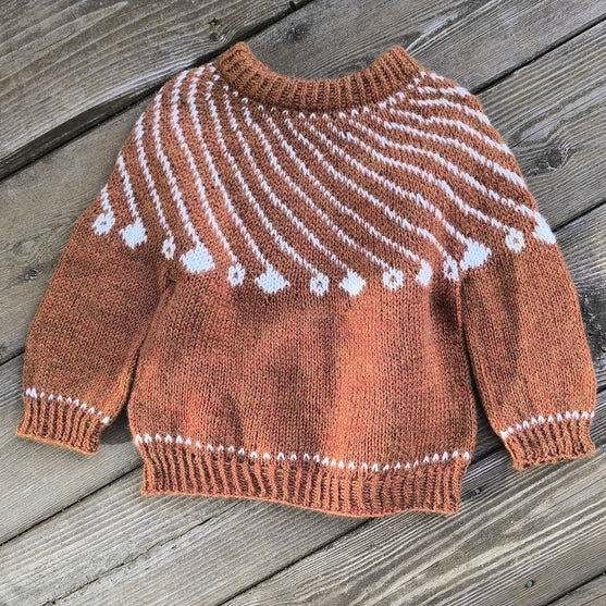 

Shooting Star - Pull enfant
1