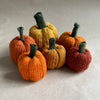 

Mini-citrouilles - Petites courges de décoration
7