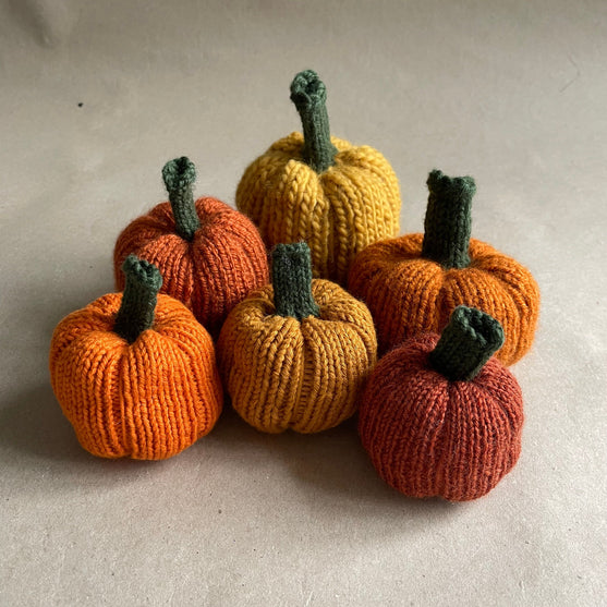 

Mini-citrouilles - Petites courges de décoration
1