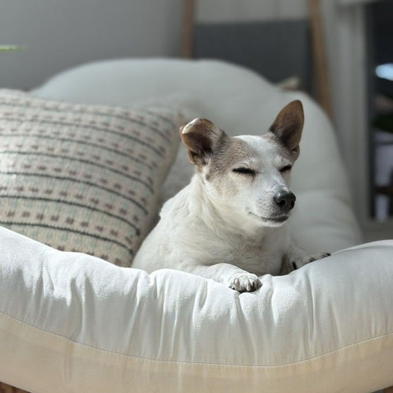 

Homebody - Housse de coussin
6