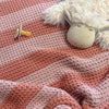

Couverture Bébé à rayures
7