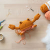 

Rachele le Crabe
4
