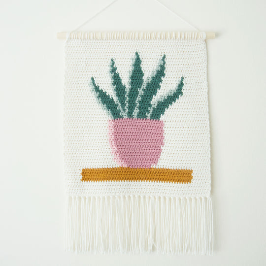 Snake Plant - Suspension Murale