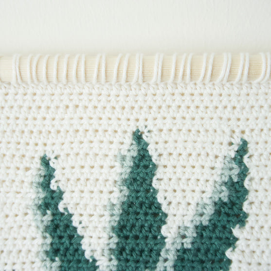 

Snake Plant - Suspension Murale
3