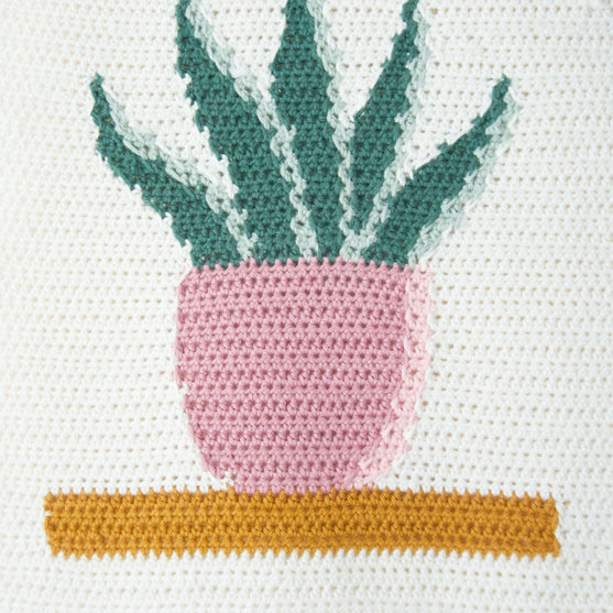 

Snake Plant - Suspension Murale
6