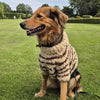 

Stevie - Pull pour chien
4