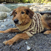 

Stevie - Pull pour chien
1