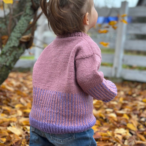 

Easy Colour Mix Sweater Junior - Pull
1