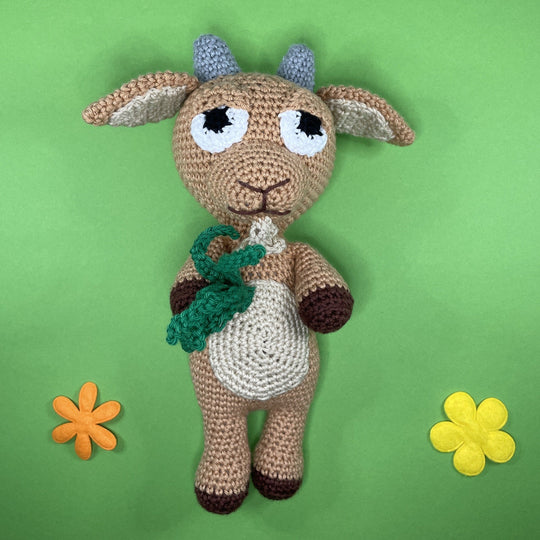 Capricorne - Signe du zodiaque