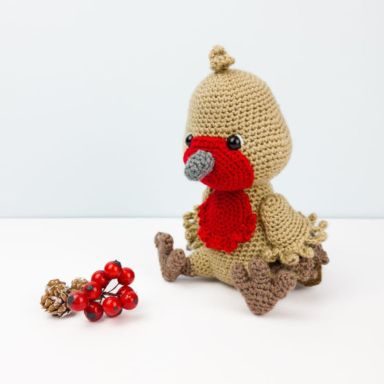 

Ruddock le Rouge-gorge
1