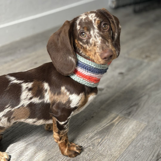 Wes - Écharpe pour chien