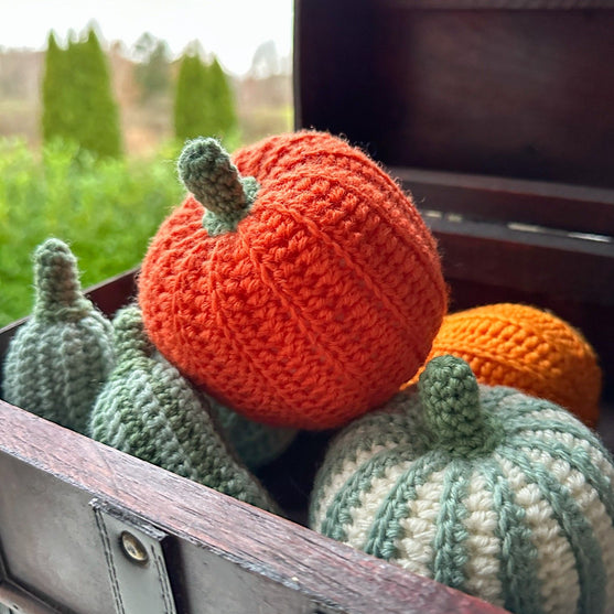 

Courges Ornementales – Rondes
1