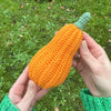 

Courges ornementales - Longues
5