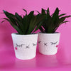 

Cache-pots Kawaii Mignons
1