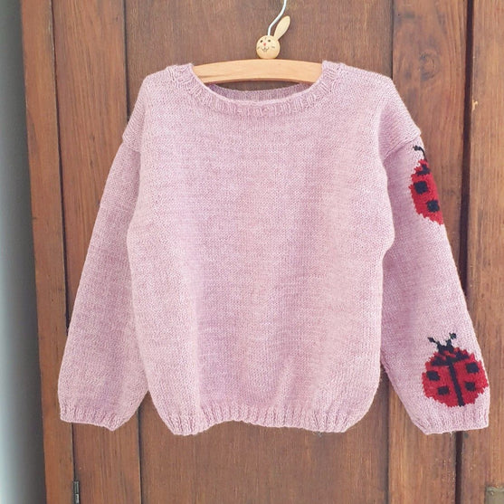 

Ladybug - Pull Enfant
1
