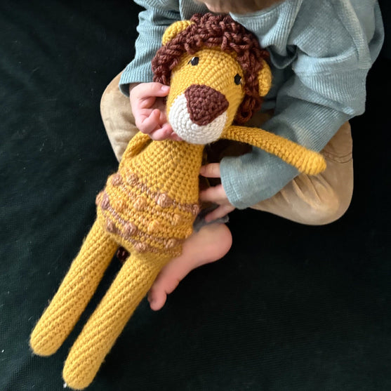 

Louis le Lion
4