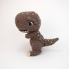 

Troy le T-Rex
4