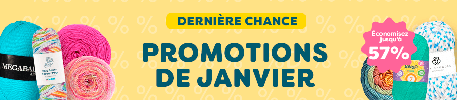 Promotions de janvier DERNIÈRE CHANCE