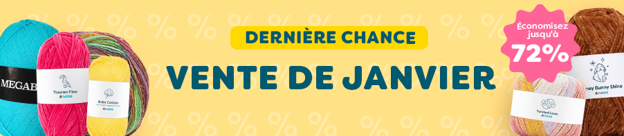 Promotions de janvier DERNIÈRE CHANCE